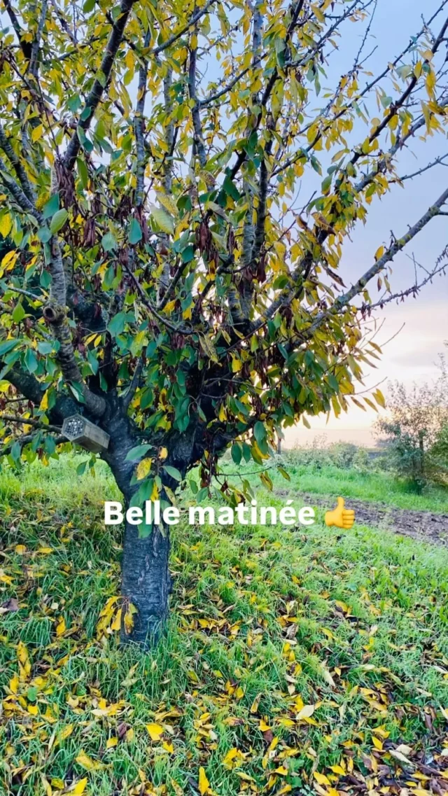 Automne#automne🍂 #naturephotography #balades #libre #free #serenite