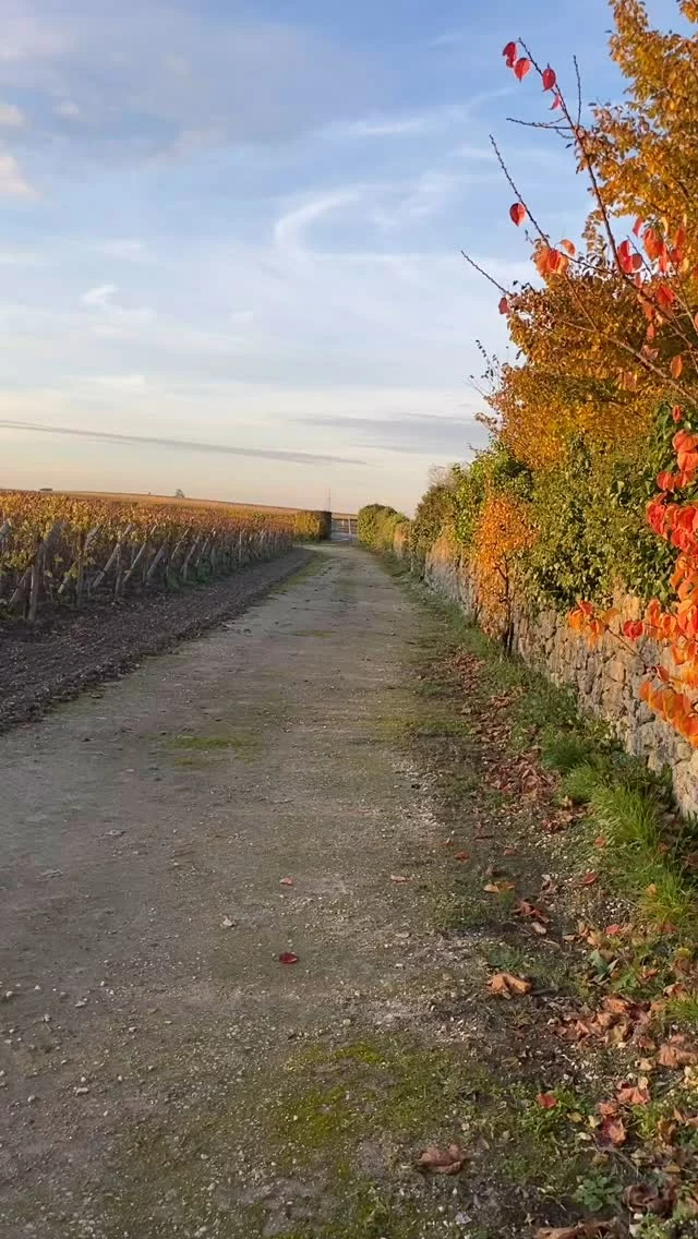 Une saison terminée avec des rencontres du monde entier , du partage , des valeurs et surtout un constat pour réouvrir avec de nouvelles idées pour satisfaire notre clientèle . Ce métier de recevoir ne s’invente pas , c’est toujours un plaisir d’accompagner nos hôtes pour que leur séjour soit le plus agréable possible , faire de son mieux avec l’authenticité de qui on est .
Chambresdhotes#oartager#recevoir#valeurshumaines